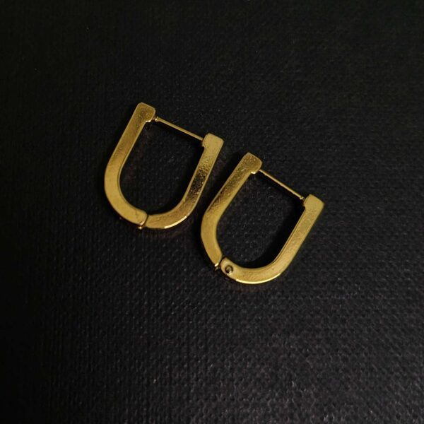 Anti Tarnish hoops